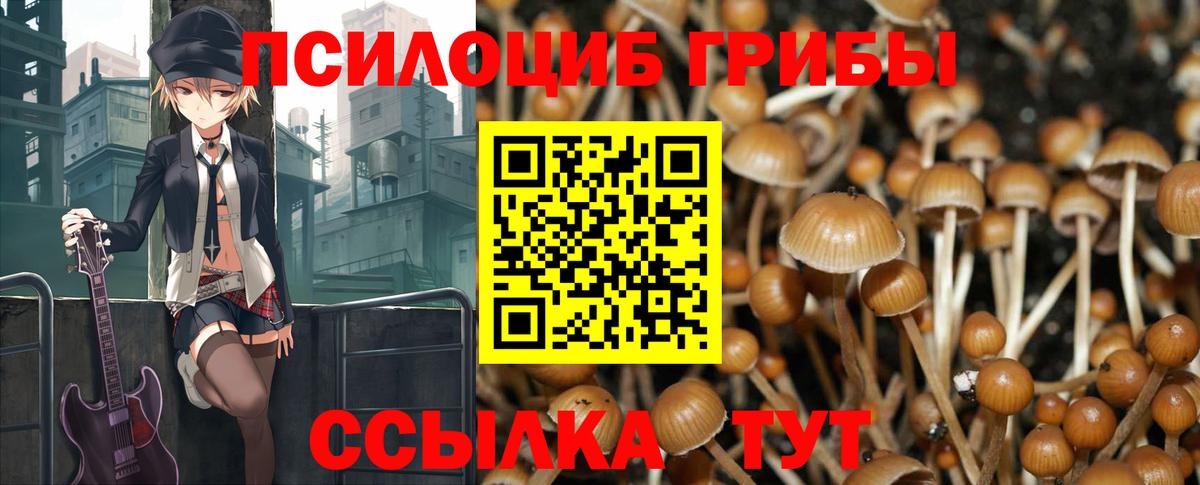 Галлюциногенные грибы MAGIC MUSHROOMS  Вход с VPN  Луга 