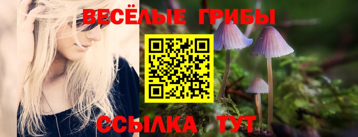 Псилоцибиновые грибы Magic Shrooms Луга